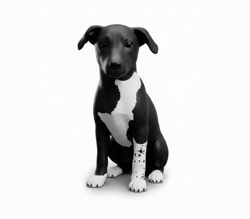 Reference photo of a black and white dog for a custom pet figurine