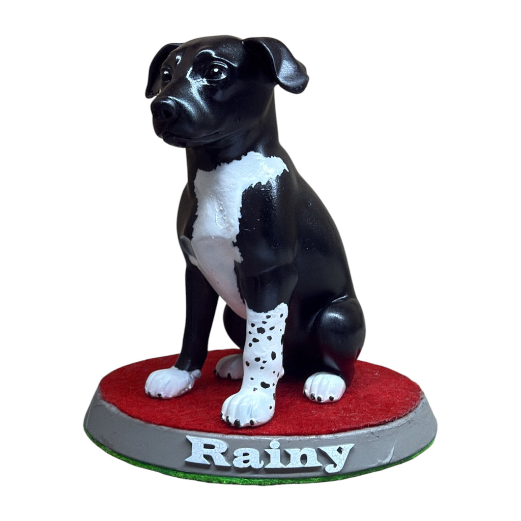 🐶 Pet Model - Boo! Customization