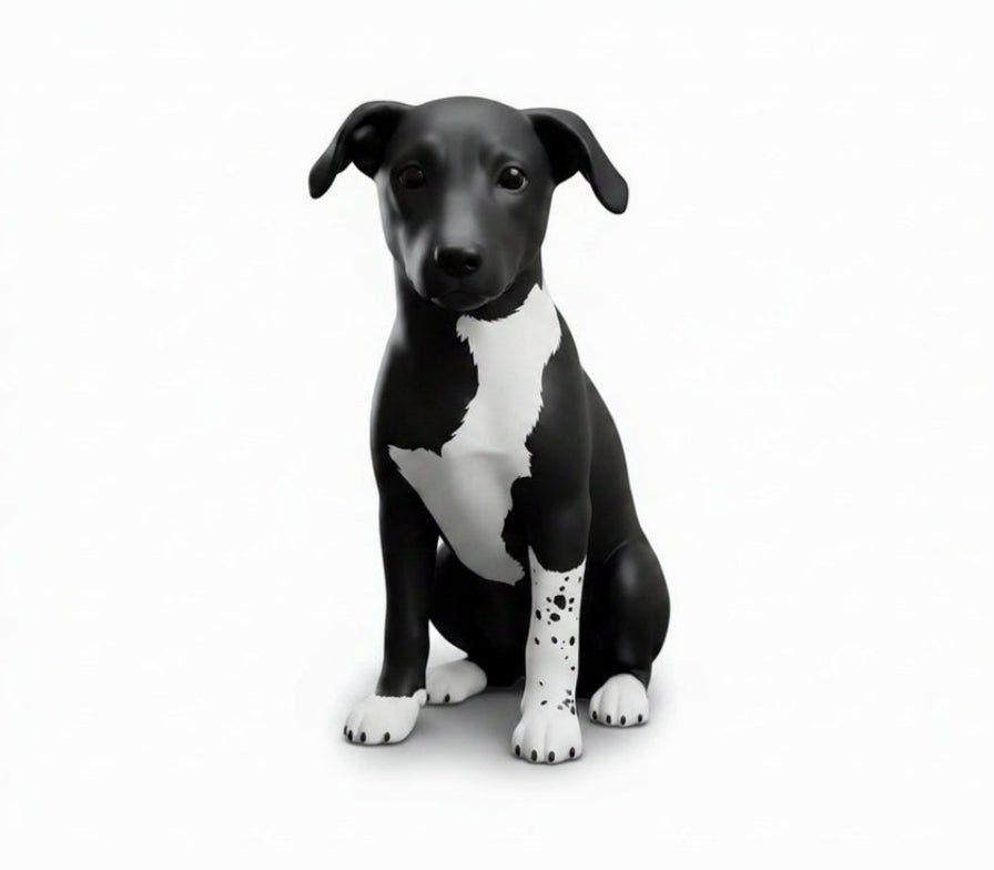🐶 Pet Model - Boo! Customization